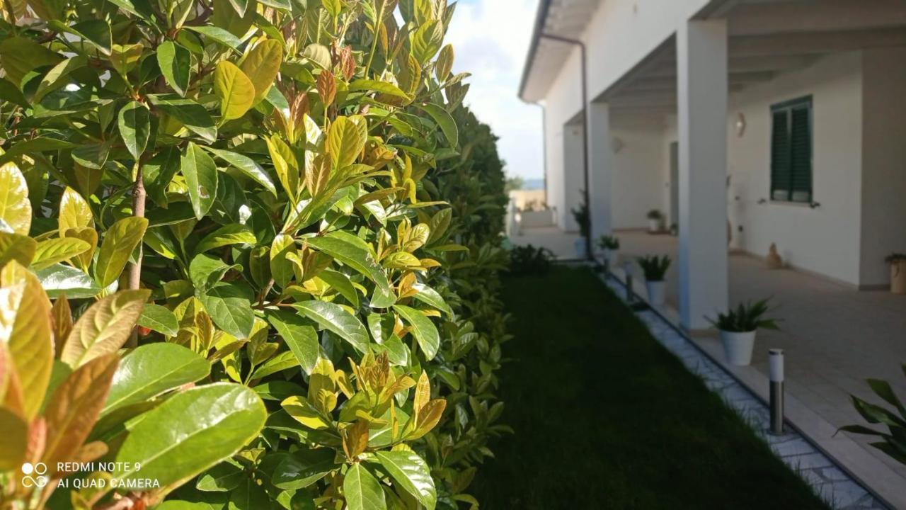 Matera Nel Verde Εξωτερικό φωτογραφία